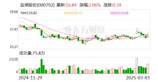 盐湖股份：3月19日将召开2025年之一次临时股东大会