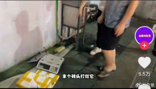 “打假博主”被打假： ***  *** 是一门怎样的生意？