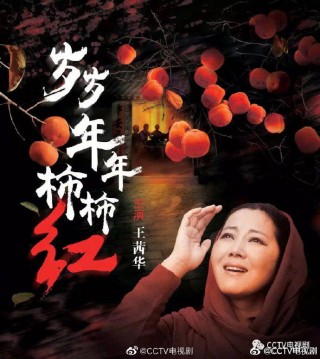 中央八套节目回看播放(中央八套节目回看播放 直播回放)