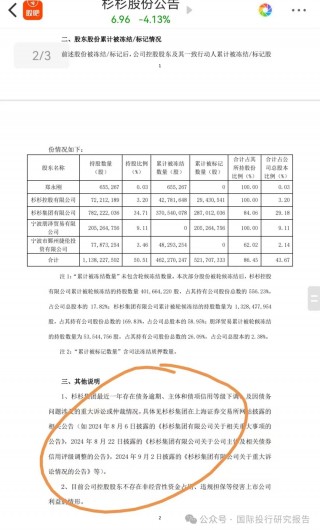 蛇年之一案：郑永刚尸骨未寒杉杉集团被三家银行申请破产重整，孤儿寡母太难了！