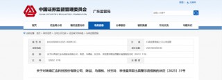 业绩预告披露存在多处缺失！汇金科技及相关责任人被出具警示函