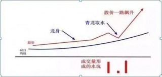 巴菲特点破A股市场：更具价值投资的7只行业龙头股名单一览，谁会是下一只“千倍股”?