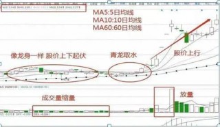 巴菲特点破A股市场：更具价值投资的7只行业龙头股名单一览，谁会是下一只“千倍股”?