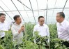 茅台在河南周口李寨村召开七省区经销商座谈会