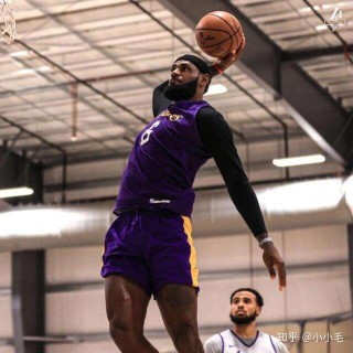 河豚直播nba(nba直播河豚直播)