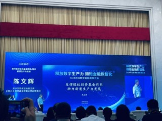 陈文辉：发挥股权投资基金作用，助力新质生产力发展