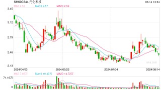 丹化科技面临1.33亿元索赔诉讼，财务危机加剧，经营困境如何破局？