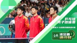 全国乒乓球锦标赛(世界乒乓球锦标赛几年一次)