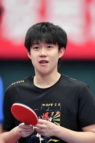 世界乒乓球排名前十位(世界乒乓球排名前十位是谁)