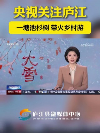 cctv直播在线观看高清直播(cctv直播在线观看高清直播下载)