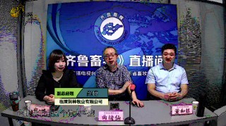 齐鲁台直播在线观看(齐鲁台直播在线观看今晚节目回放)
