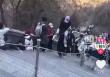 “两天挣了两千元”！泰山陪爬爆火，有人已成立工作室