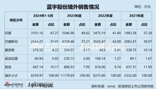 蓝宇股份IPO：核心产品发明专利只有10项 收入增长依赖“价格战” 境外大客户拒绝审计销售真实性成谜