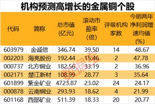 包含鹏欣资源涨5.07%国际金铜价飙升的词条