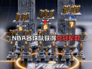 nba2013总决赛详细数据(nba2013年总决赛技术统计)
