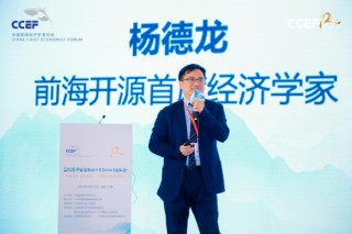 前海开源杨德龙：产生一轮牛市是拉动消费的更好手段，也是破局关键