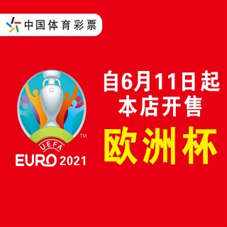 德国欧洲杯海报(德国欧洲杯海报创意说明)