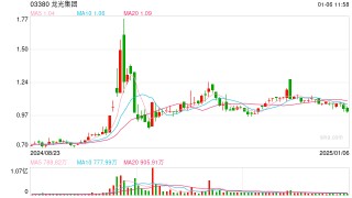 龙光集团向债权人提供四个重组方案选项，包括现金支付及票据置换等