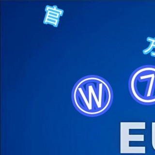 2016欧洲杯买球哪里(2016欧洲杯足球多少钱)