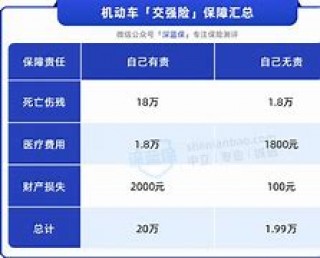 车险怎么买欧洲杯(2020年怎样购买车险)