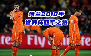 2010世界杯荷兰队阵容(2010世界杯荷兰队阵容表)