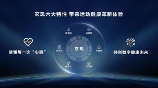 华为穿戴2024年出货量增速全球之一，连续五年称霸中国市场