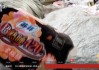 苏菲回应被黑工厂翻新：正在反馈核实