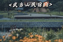 包含火热的周边游，喂饱了“本地生活”的词条