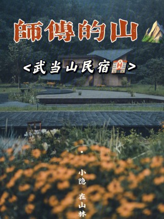 包含火热的周边游，喂饱了“本地生活”的词条