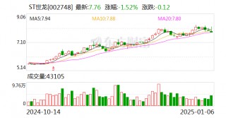 ST世龙：聘任潘妙华为财务总监
