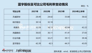 蓝宇股份IPO：核心产品发明专利只有10项 收入增长依赖“价格战” 境外大客户拒绝审计销售真实性成谜