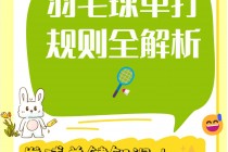 羽毛球比赛规则(羽毛球比赛规则简单介绍)