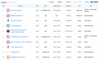 “白酒教父”吴向东，正在加速权力交接，对象是他儿子