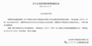 7年苦盼永安财险总经理终就位！空降而来“太保基因”能否适配？