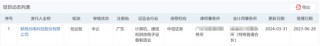 刚刚，三大交易所大华在审IPO均完成会所更换，深交所年报更新基本收官