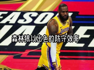 nba直播湖人vs森林狼(湖人vs森林狼12月28日直播)