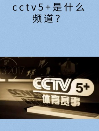 体育频道cctv5在线直播(cctv5+体育频道 体育频道)