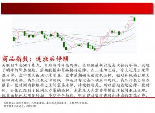 中天期货:原油短线反弹 生猪底部大震荡