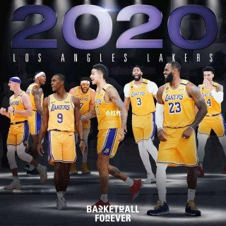 2020年nba总冠军(2020年nba总冠军是谁)