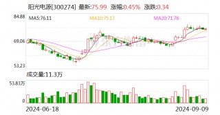 山西证券给予阳光电源买入评级，Q2业绩亮眼，光储业务毛利率双提升