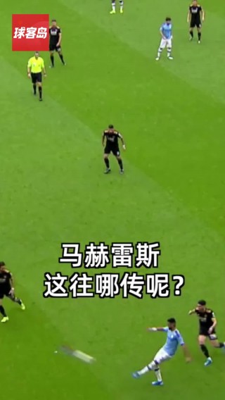 欧洲杯预言(欧洲杯预言粉丝谁最多)