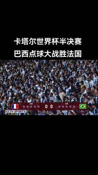 法国世界杯夺冠阵容(世界杯7比0是哪一场)