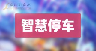五洋停车智能硬盘(五洋停车智能硬盘怎么用)