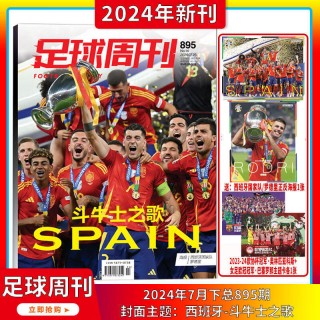足球周刊欧洲杯(足球周刊欧洲杯特刊是哪期)