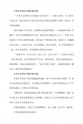 冬奥会开幕式观后感(2022冬奥会观后感)