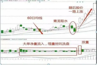 巴菲特点破A股市场：更具价值投资的7只行业龙头股名单一览，谁会是下一只“千倍股”?