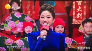 cctv辽宁卫视直播入口(辽宁卫视直播在线观看高清直播回放)