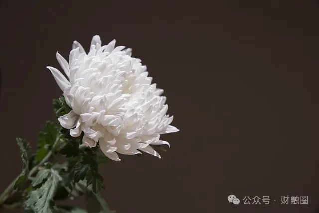 突发！上市公司57岁监事会主席去世  第1张