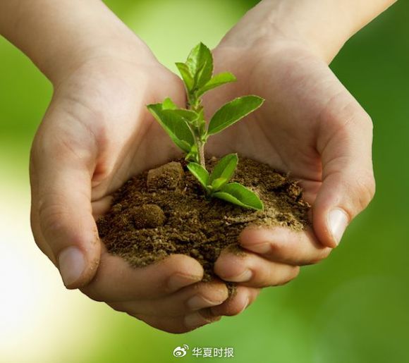 2024中国环境企业营收TOP50发布：光大连续6年稳居之一  第1张