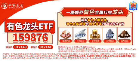 连涨4个交易日，小步上跳，有色金属杀回来了吗？有色龙头ETF（159876）更高上探1.52%，中国铝业涨超2%  第4张